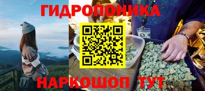 гидра Дубна