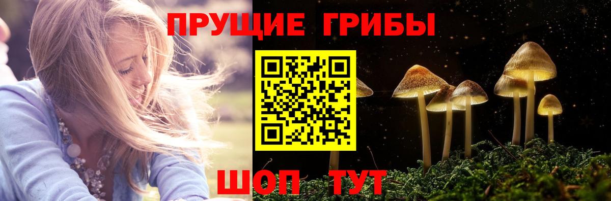 Кемерово  Галлюциногенные грибы Psilocybine cubensis  Вход с VPN 